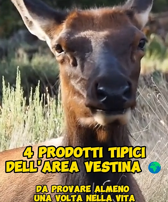 4 Prodotti Tipici del Area Vestina da assaggiare almeno una volta nella vita
